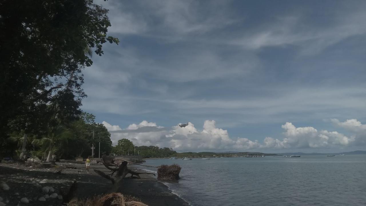 Osa Surf House Hotel Puerto Jimenez Bagian luar foto