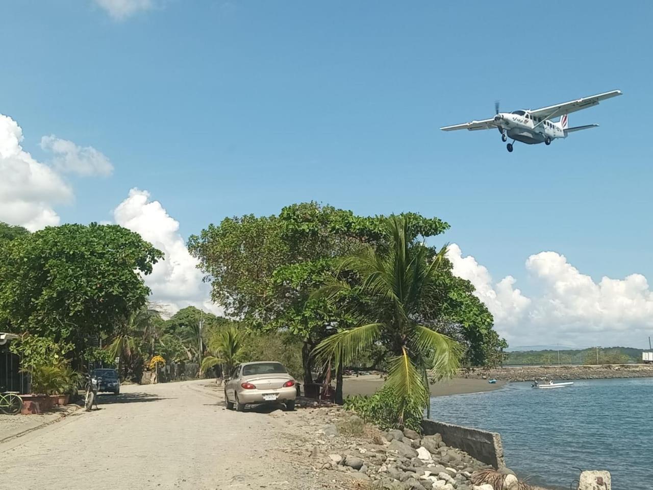 Osa Surf House Hotel Puerto Jimenez Bagian luar foto